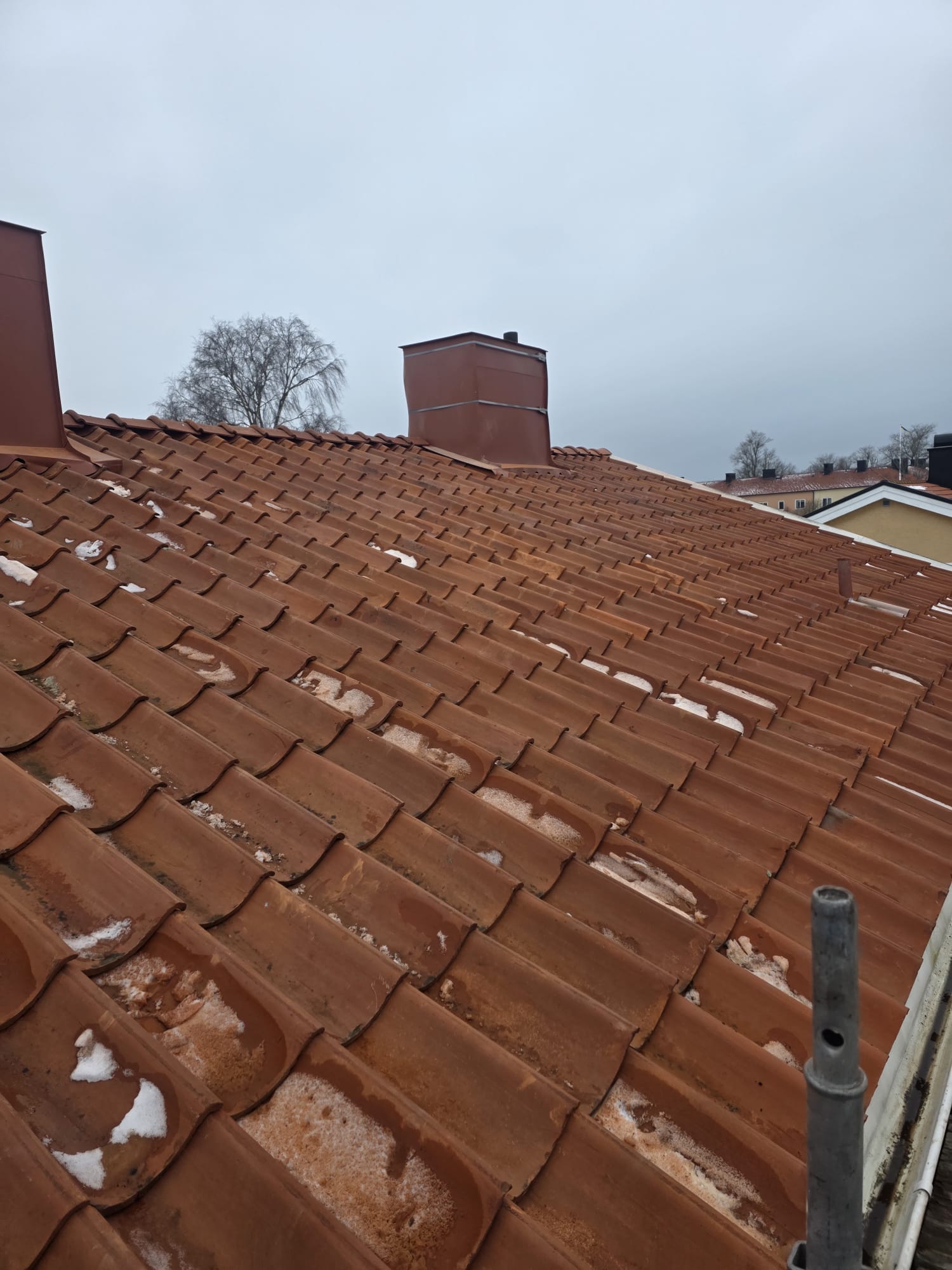 Tätskiktning och takbesiktning — papp- och läktarbete i Visby